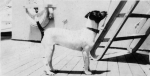 BB-30 Florida