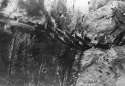 CV-37 Princeton
