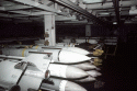 CV-67 John F. Kennedy