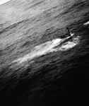 CVE-9 Bogue