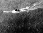 CVE-9 Bogue