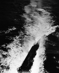 CVE-9 Bogue