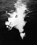 CVE-9 Bogue