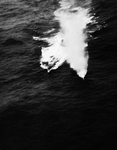 CVE-9 Bogue