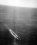 CVE-9 Bogue