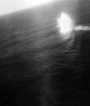 CVE-9 Bogue