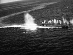 ACV-9 Bogue