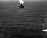 ACV-9 Bogue