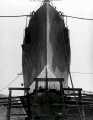 Dahlgren
