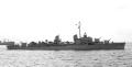 Damato