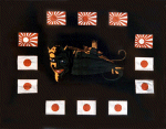 Devilfish