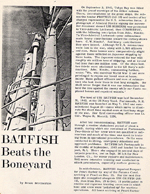 Batfish