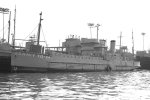 YG-54