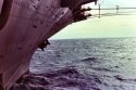 CV-41 Midway