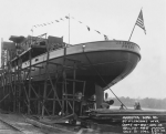 Camanche