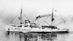 Brant