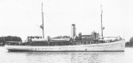 Pioneer