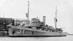 Tern