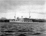 Tern