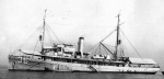 Bittern