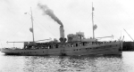 Bittern