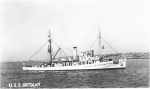 Ortolan
