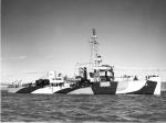 Sheldrake