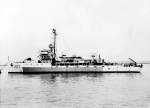 BAM-11