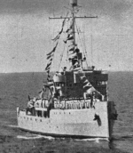 BAM-13