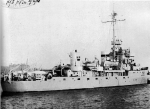 BAM-19
