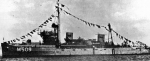 BAM-19