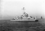 BAM-19