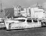 BAM-29