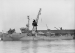 BAM-31