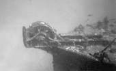 Mahi