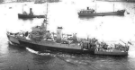 AM-334