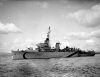 AM-334