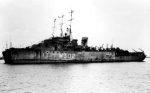 AM-337