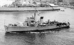 AM-338