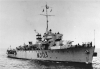 AM-338