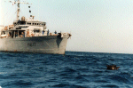 M-617
