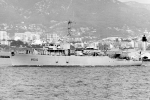 MSO-454