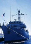 MSO-477