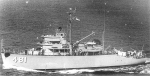AM-481