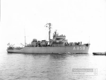 MSO-482