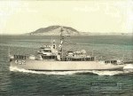 MSO-482