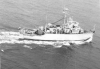 MSO-482