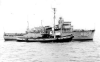 MSO-482