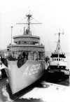 MSO-482