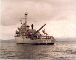 MSO-483